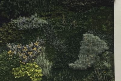 Vertical-Garden-Complesso-Aldo-Moro.jpg