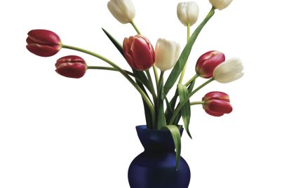 tulipe_2.jpg